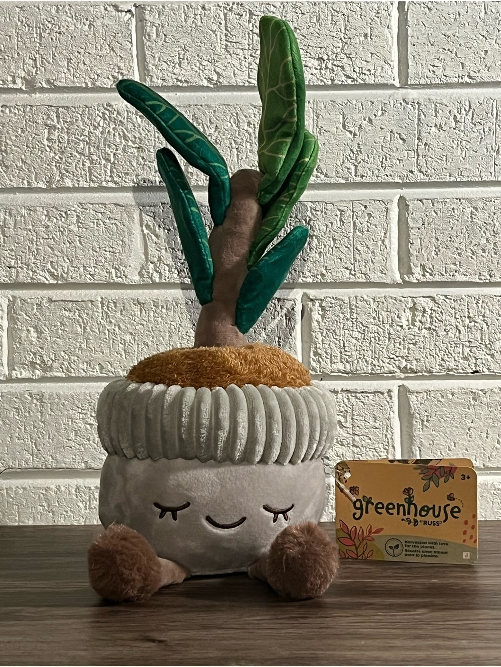 Greenhouse by RUSS Plush Plant Toy - Casey the Fiddle Tree New!!!